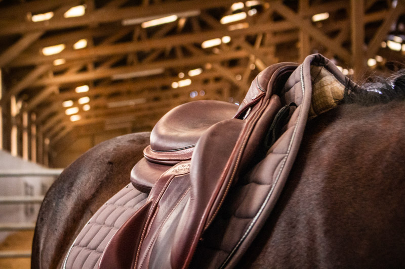 Contacter Appaloo Equestrian dans la presse