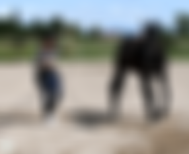 Capture d'écran 2025-10-04 174709.png
