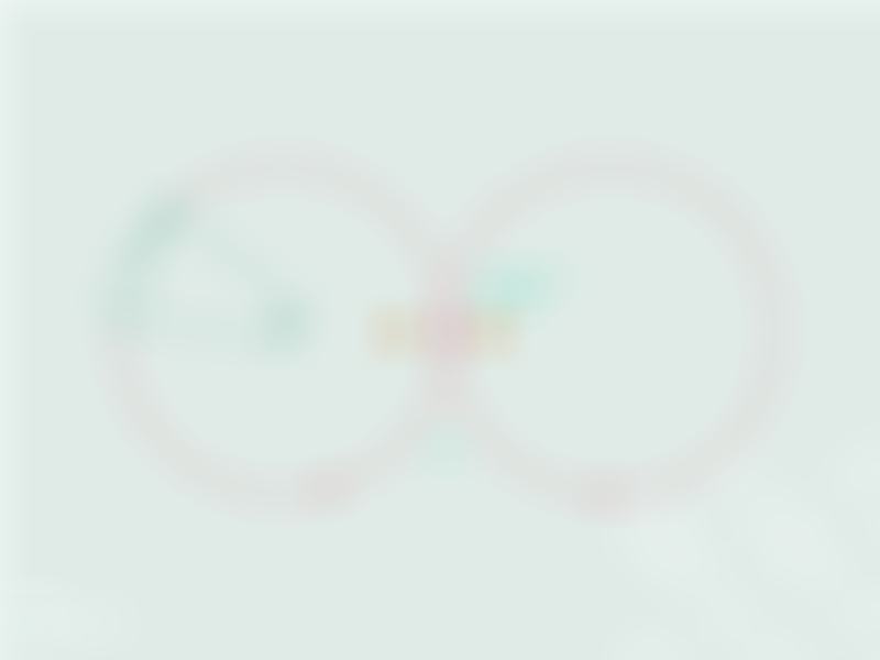 transition-trot-reculer.jpg
