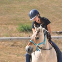loane_svd_