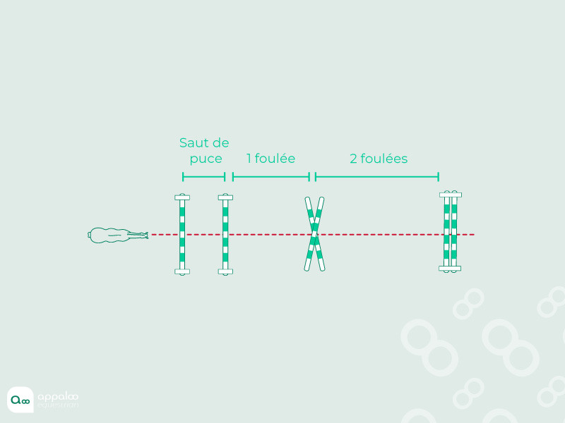 12.-Ligne-de-mécanisation.jpg