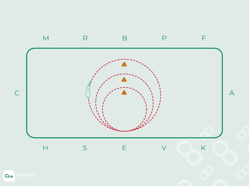 26-Variations-de-l’amplitude.jpg