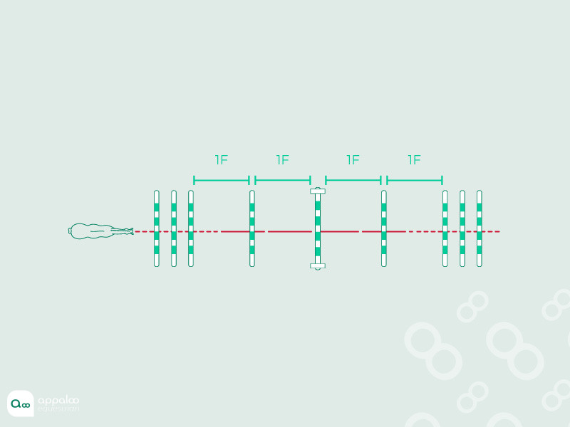 31-La-ligne--+-.jpg