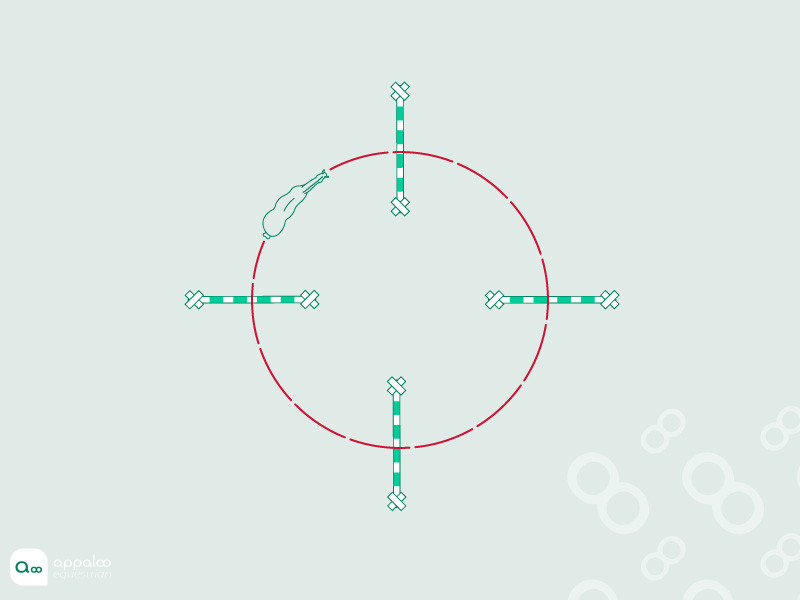 33-Cercle-de-cavaletti.jpg