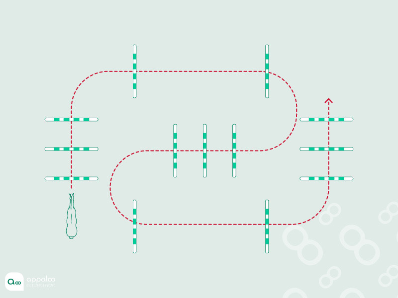 39-Variations-dans-la-galop.jpg
