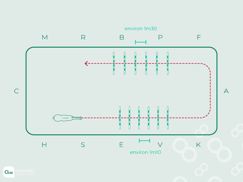 45.Double-ligne.jpg