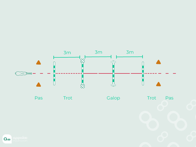 60-transition-à-l'obstacle.jpg