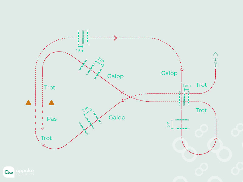 66-Transitions.jpg