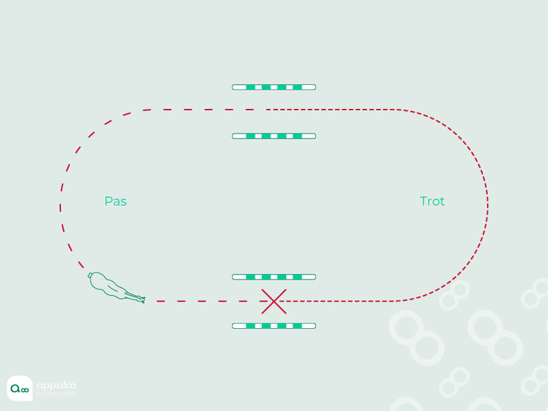75-Transition-d'allure-et-contrôle-de-direction.jpg