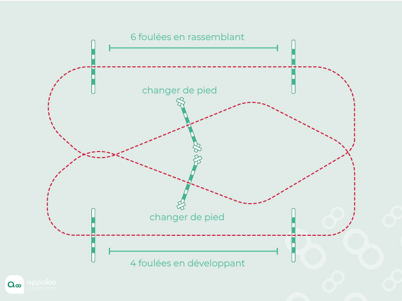 Amplitude-galop-challenge.jpg