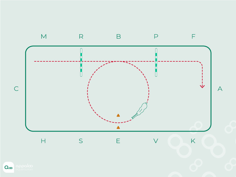 barres-au-sol-et-cercle.jpg