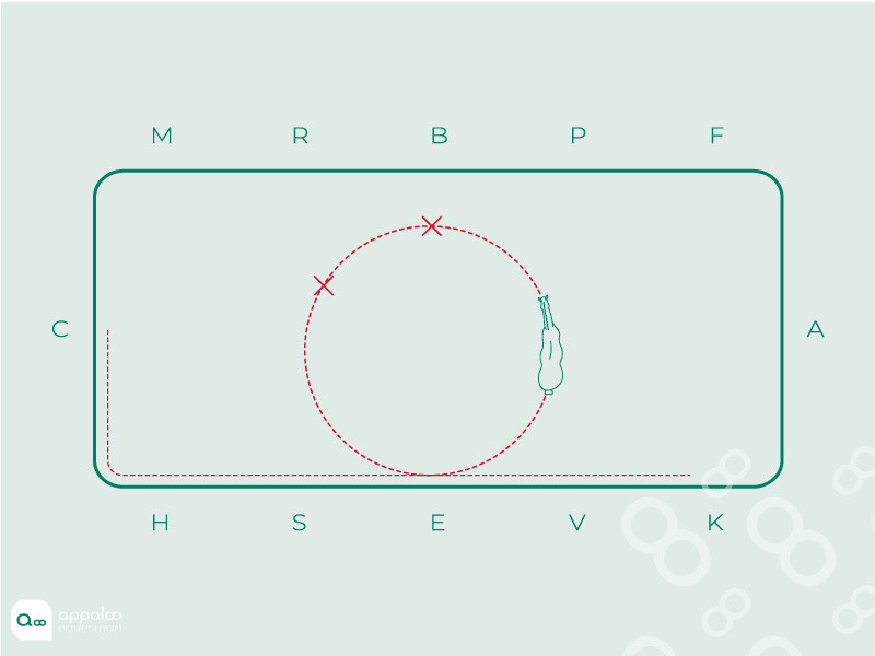 cercle-dincurvation-et-transition.jpg