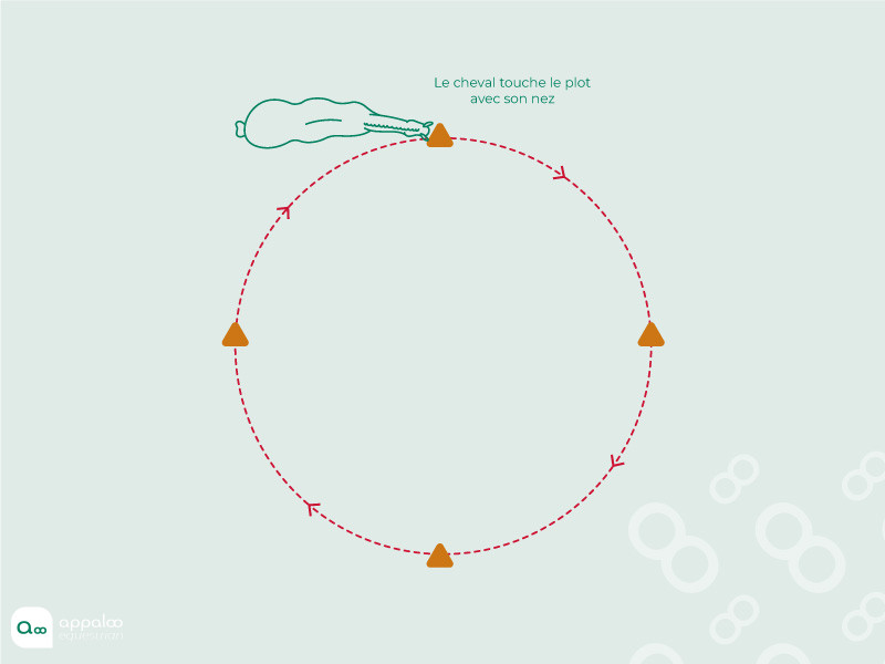 cercle-en-touch-it.jpg