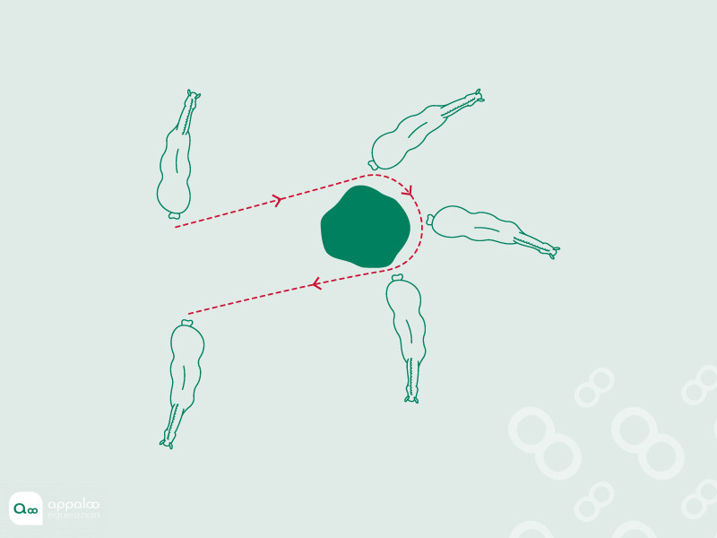demie-pirouette-autour-dun-arbre.jpg