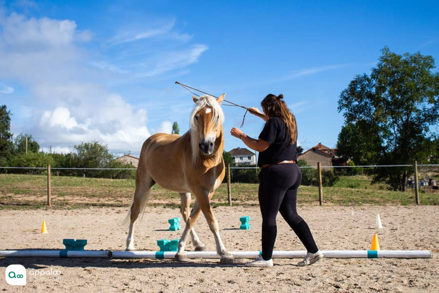 deplacement-lateral-equifeel.jpg