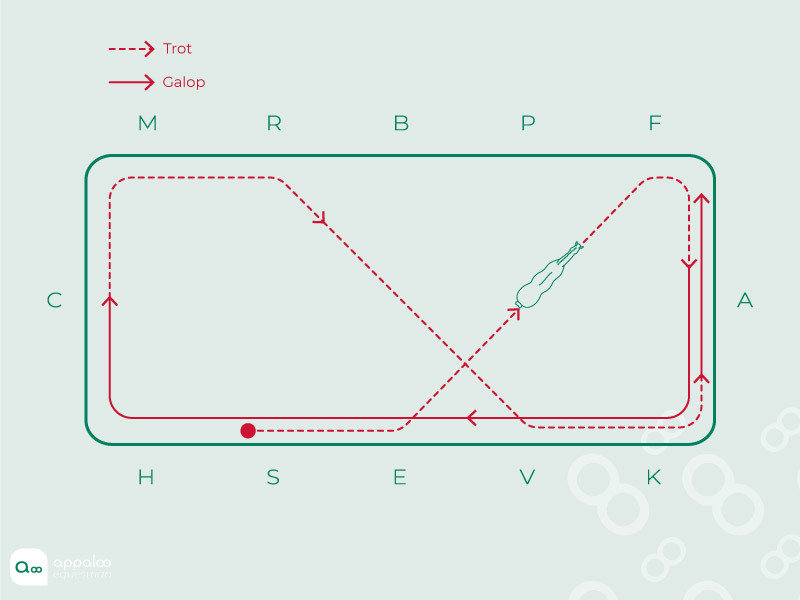 Diagonales-et-départs-au-galop.jpg