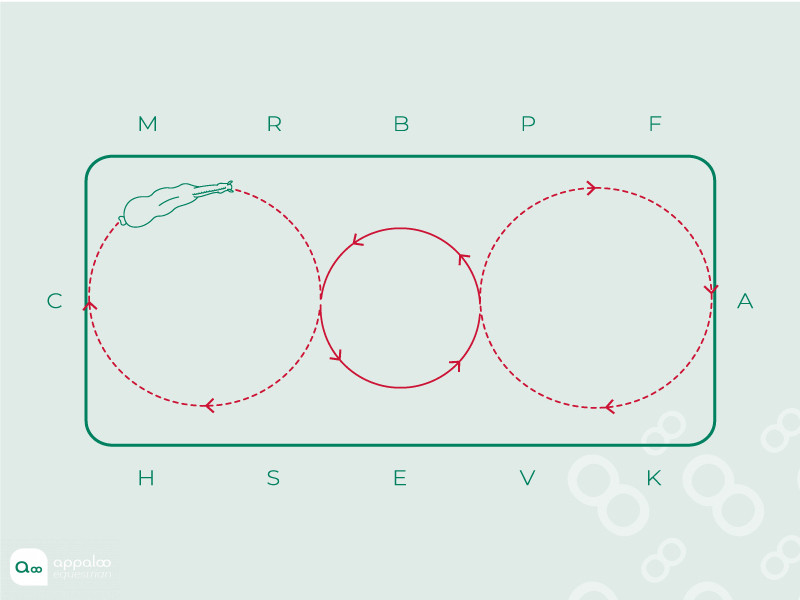 double-cercle-et-volte.jpg