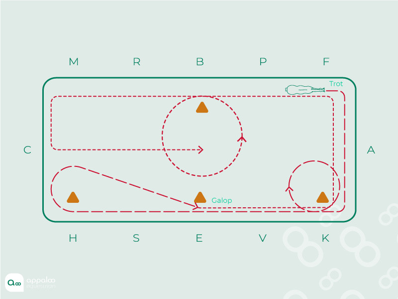 extrait-reprise-de-dressage-cercles.jpg