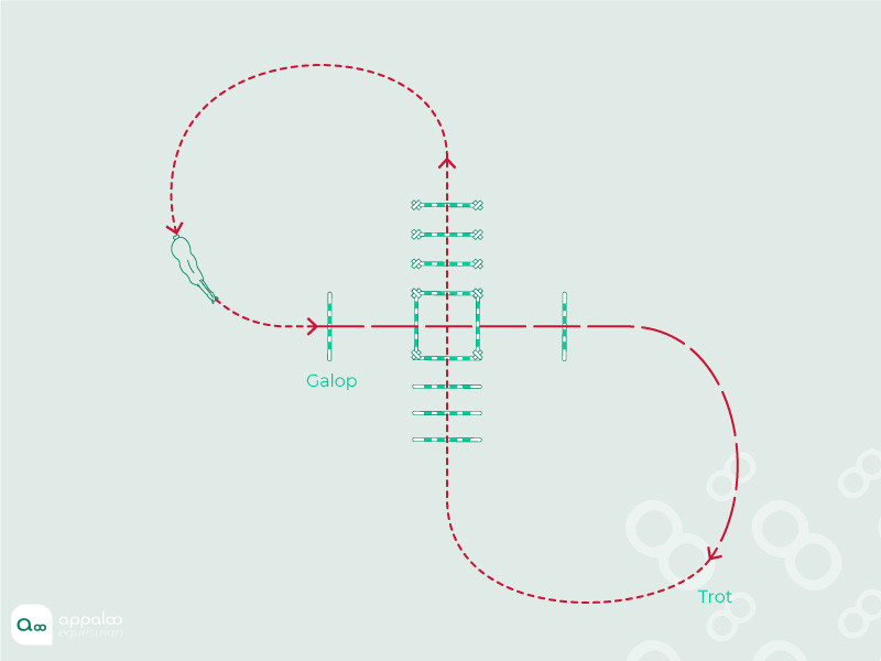 figure-of-8.jpg