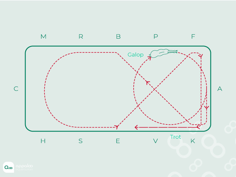 galop-contre-galop-galop.jpg