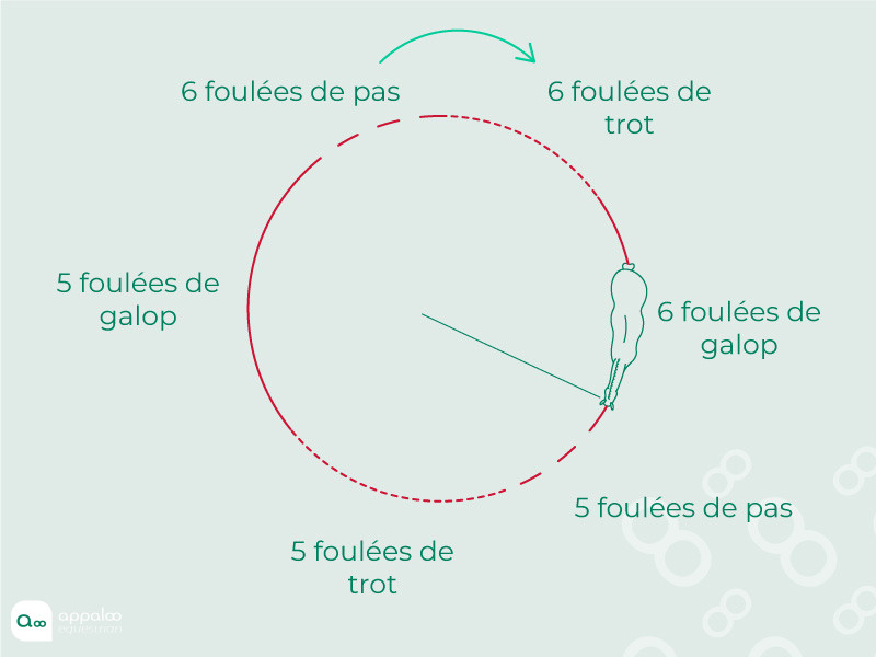 jeu-des-transitions-2.jpg
