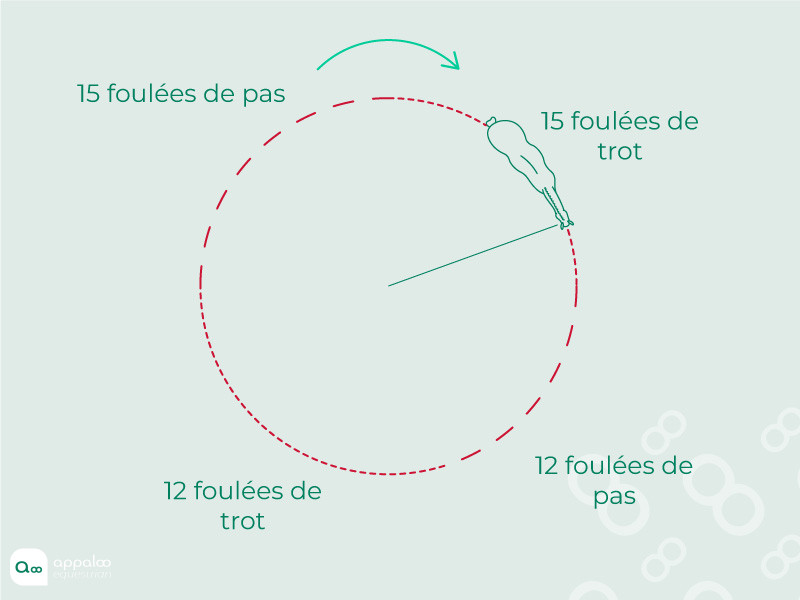 jeu-des-transitions.jpg