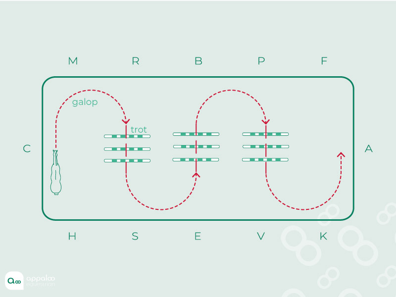 La-serpentine-aux-transitions.jpg
