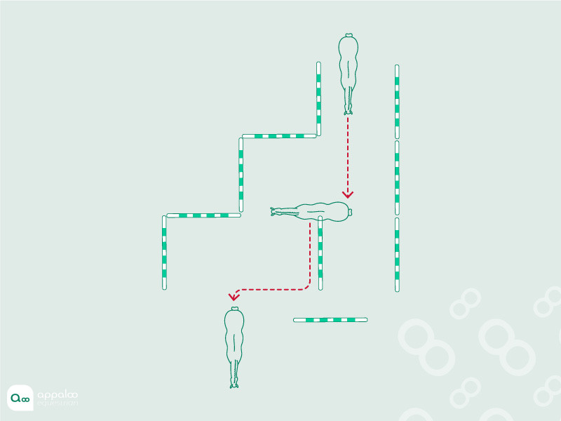 labyrinthe-lateral.jpg