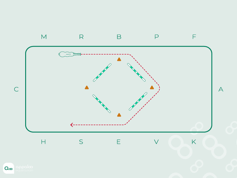 le-cercle-carre.jpg