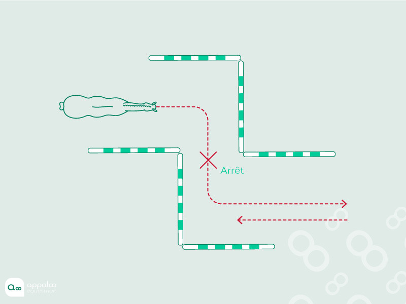 le-labyrinthe-travail-a-pied.jpg