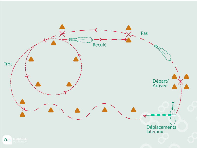 le-parcours-darrets.jpg