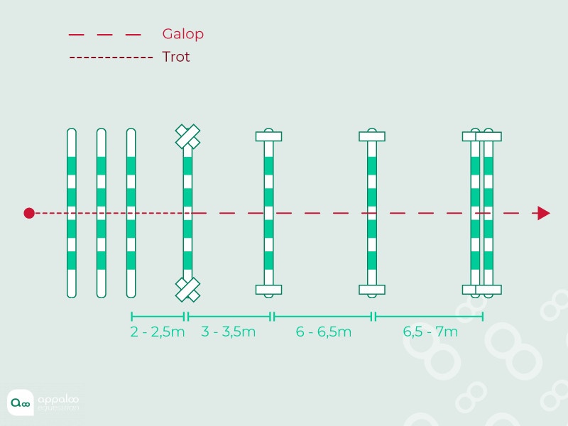 ligne-gymnastique-1.png