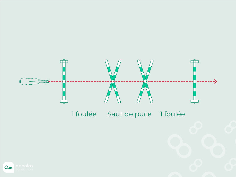 ligne-mecanisation-4.jpg