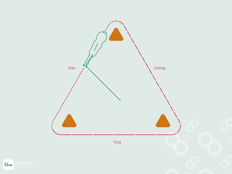 longe-triangle.jpg