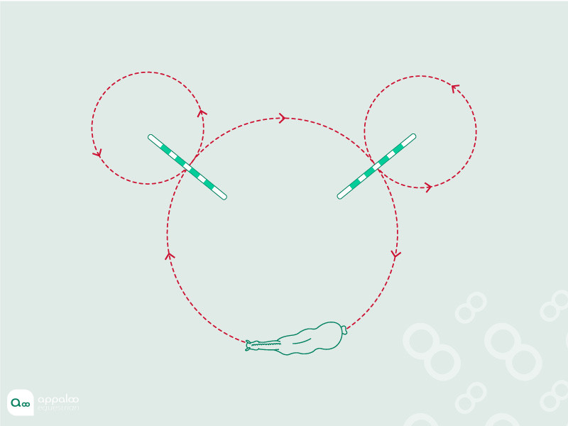 mickey.jpg