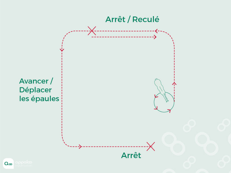 miniParcours2.jpg