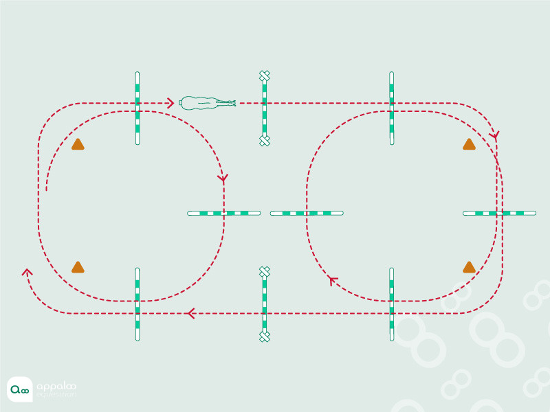parcours-de-cercles-et-de-cavalettis.jpg