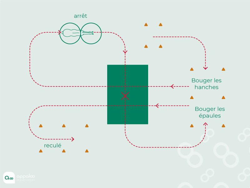 parcours-de-tap.jpg