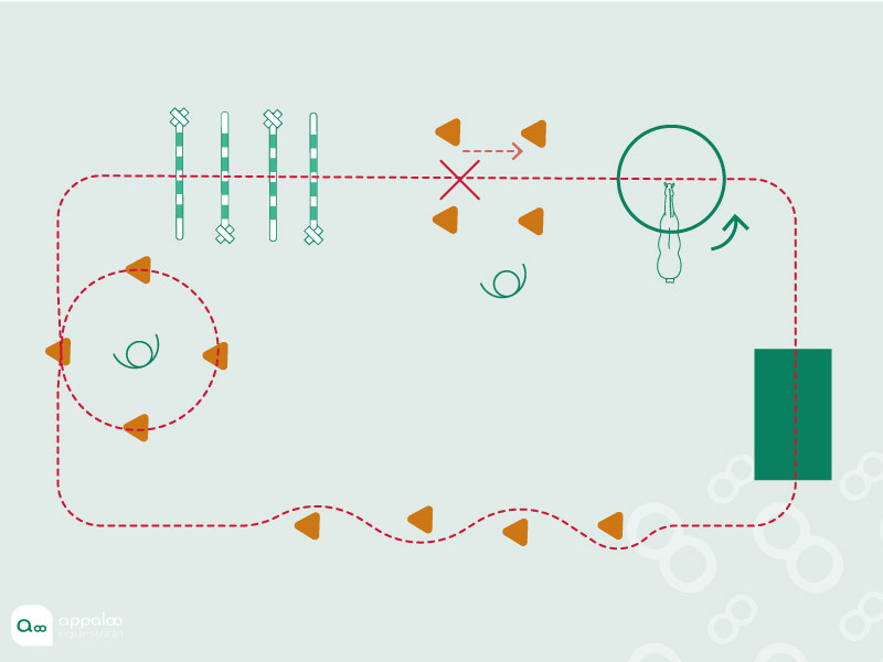 Parcours-de-travail-à-pied.jpg
