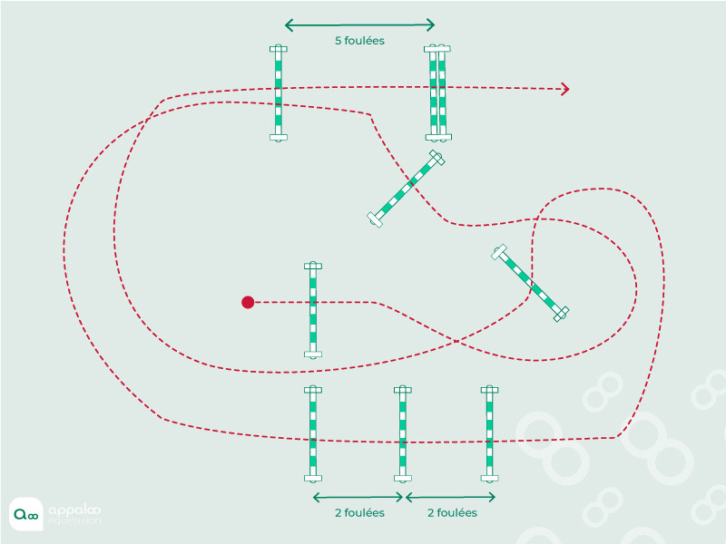 parcours-obstacle-1.jpg