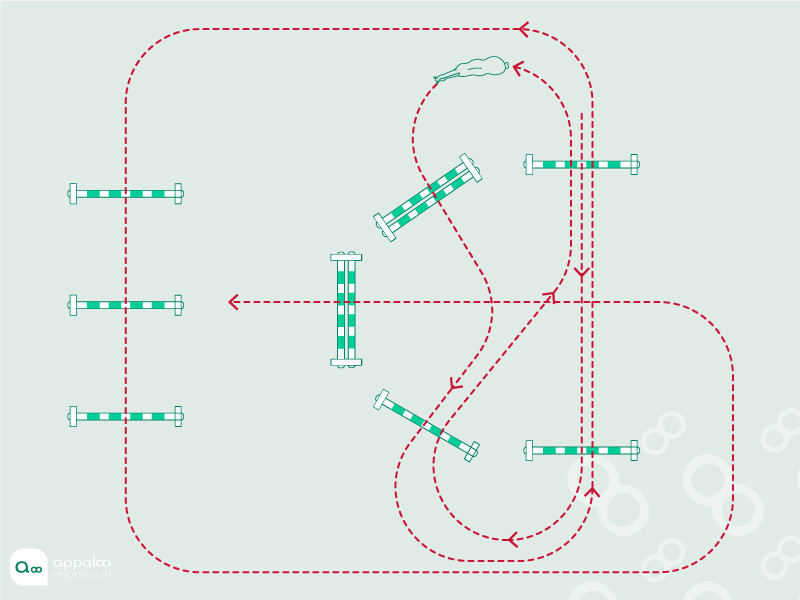 parcours-obstacle-de-maniabilite.jpg