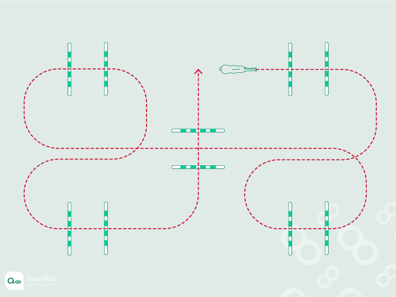 parcours-variable-barres-au-sol-cavalettis.jpg