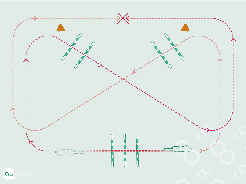 Proprioception-et-transition.jpg