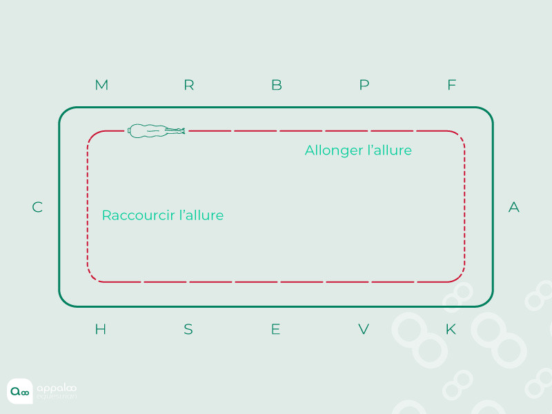 Schéma-6-Accordéon.jpg