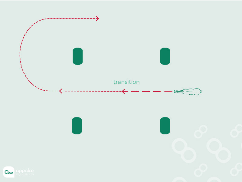 Schéma-TREC-maîtrise-des-allures-transitions-simple.jpg