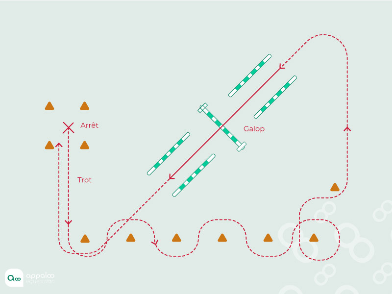 Serpent-Triangle.jpg