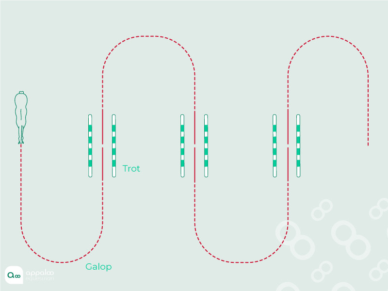 serpentine-a-4boucles-et-transitions.jpg