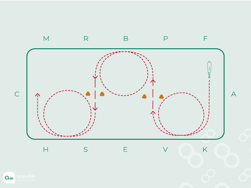 Serpentine-controlée.jpg