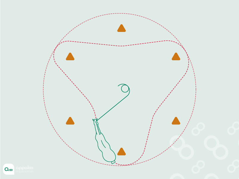 slalom-sur-le-cercle.jpg