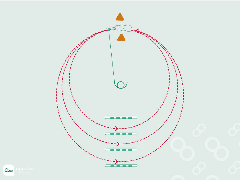 Spiral-poles.jpg
